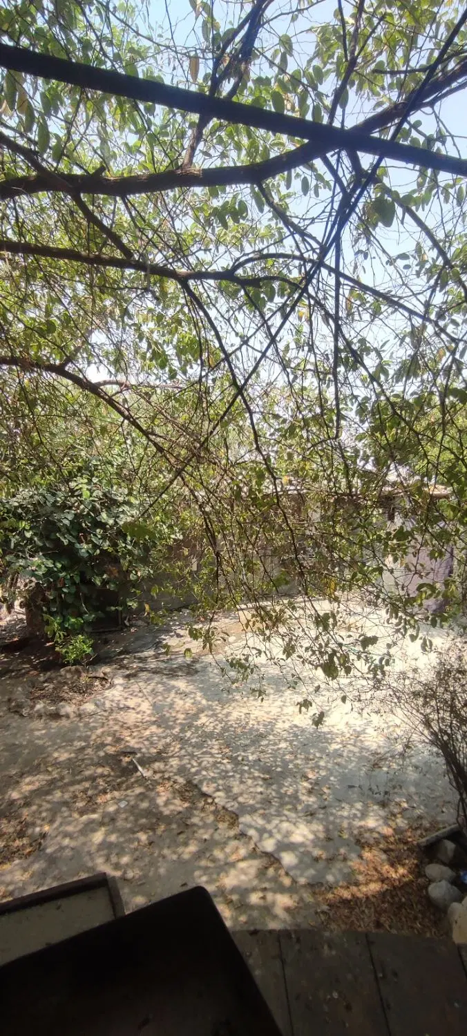 فروش زمین 385متری در ایسین (شهرک سبحان)
