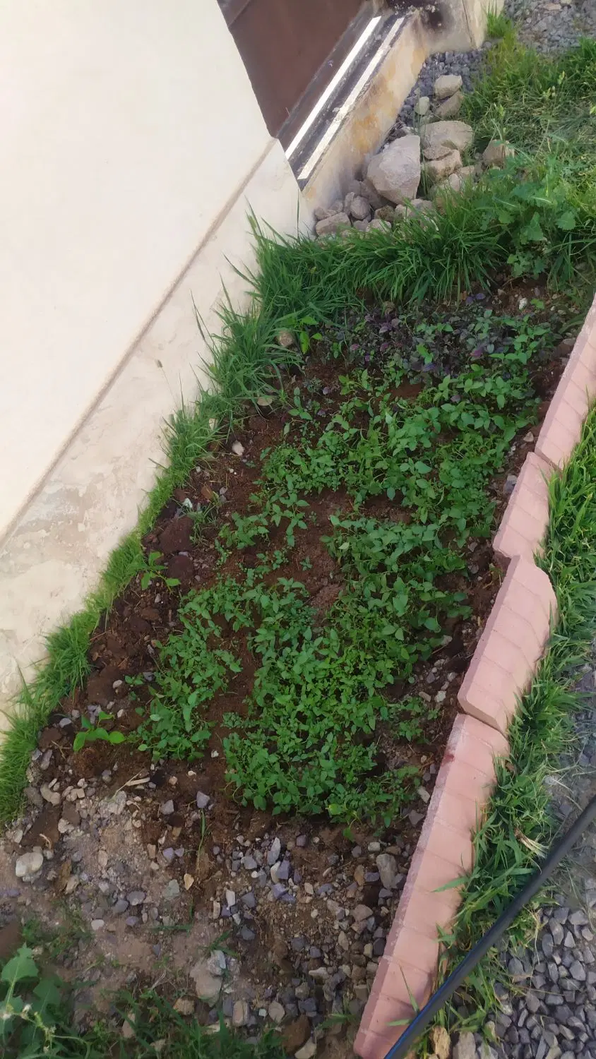 یک قطعه زمین پشت وحدت 17
