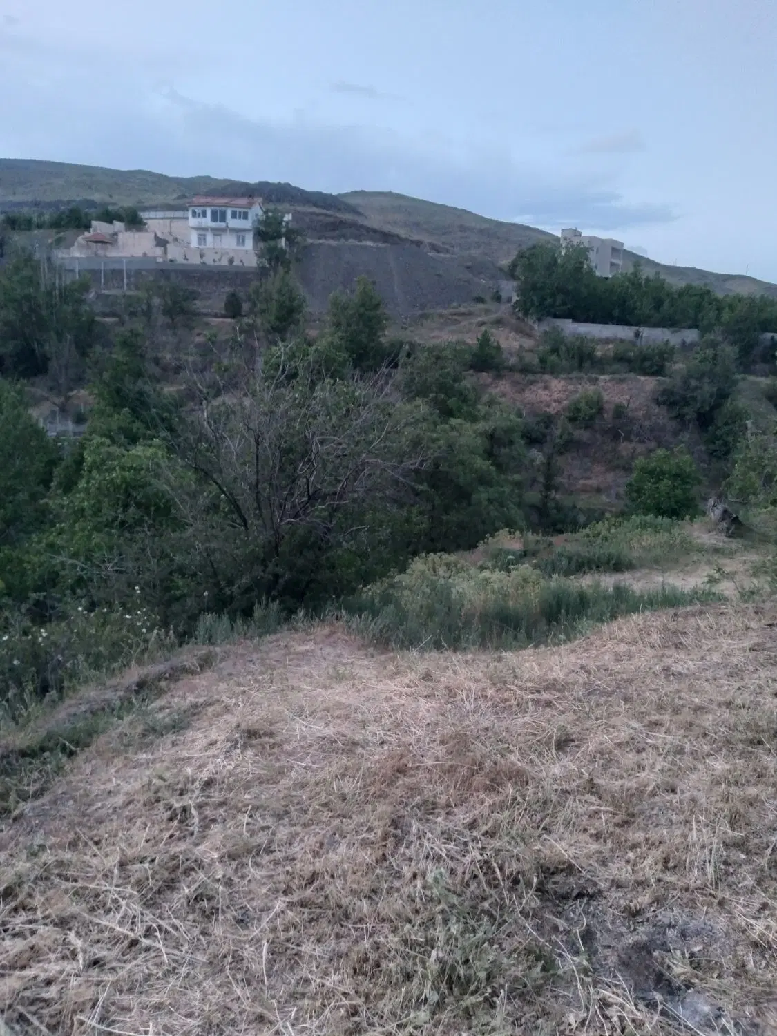 باغ فروشی کوهای خلج روستای اردمه داخل رودخانه