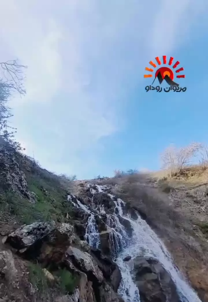 یونجه فروشی