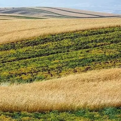 زمین فاز ۳ دست اول هولوگرام
