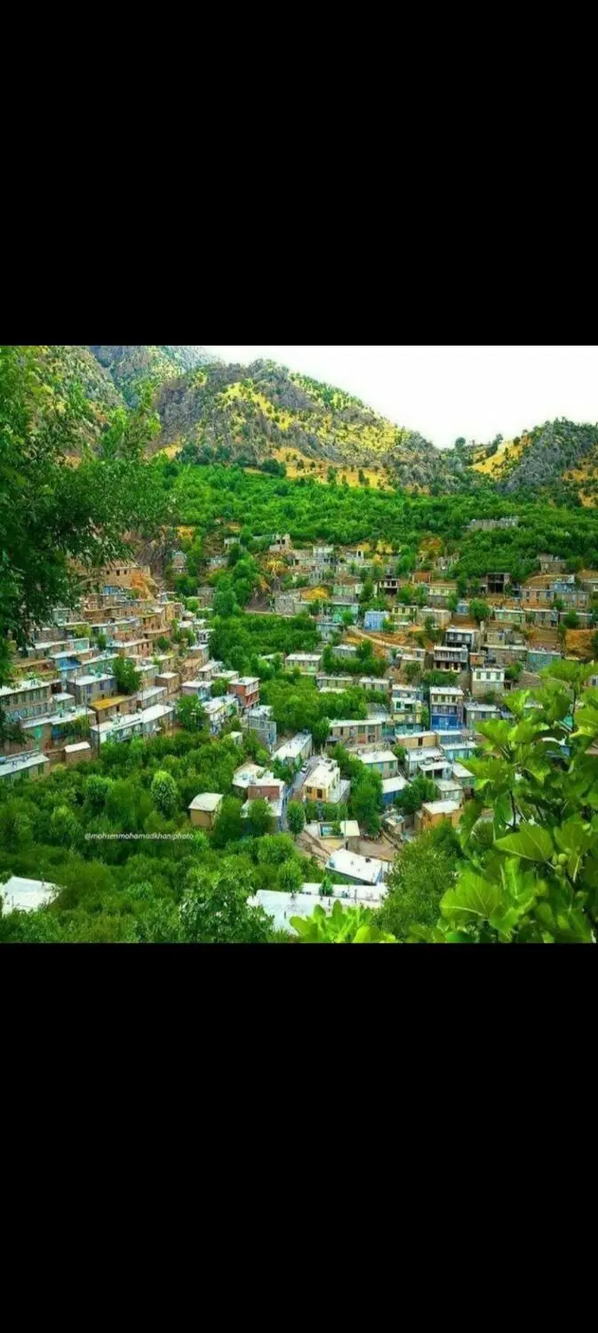سوئیت اجاره _ خانه‌ی اجاره‌ای _ هورامان_ ژیوار