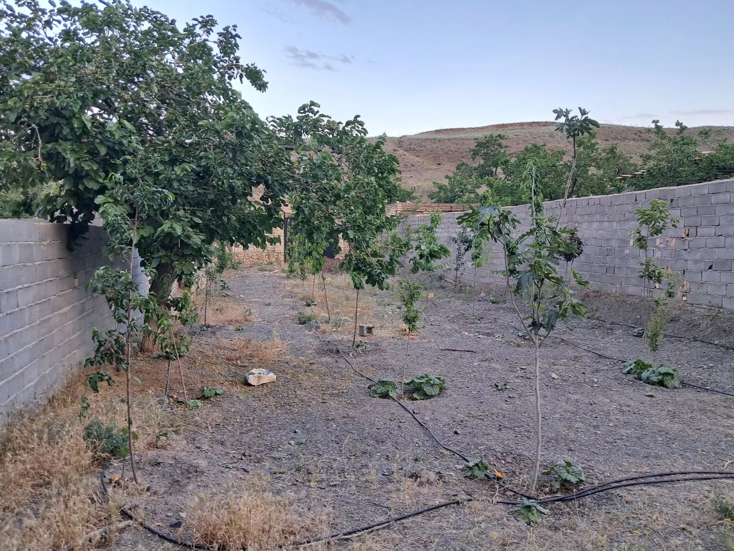 گلمکان  زمین ویلایی مسکونی دو ممر  روستای چنار