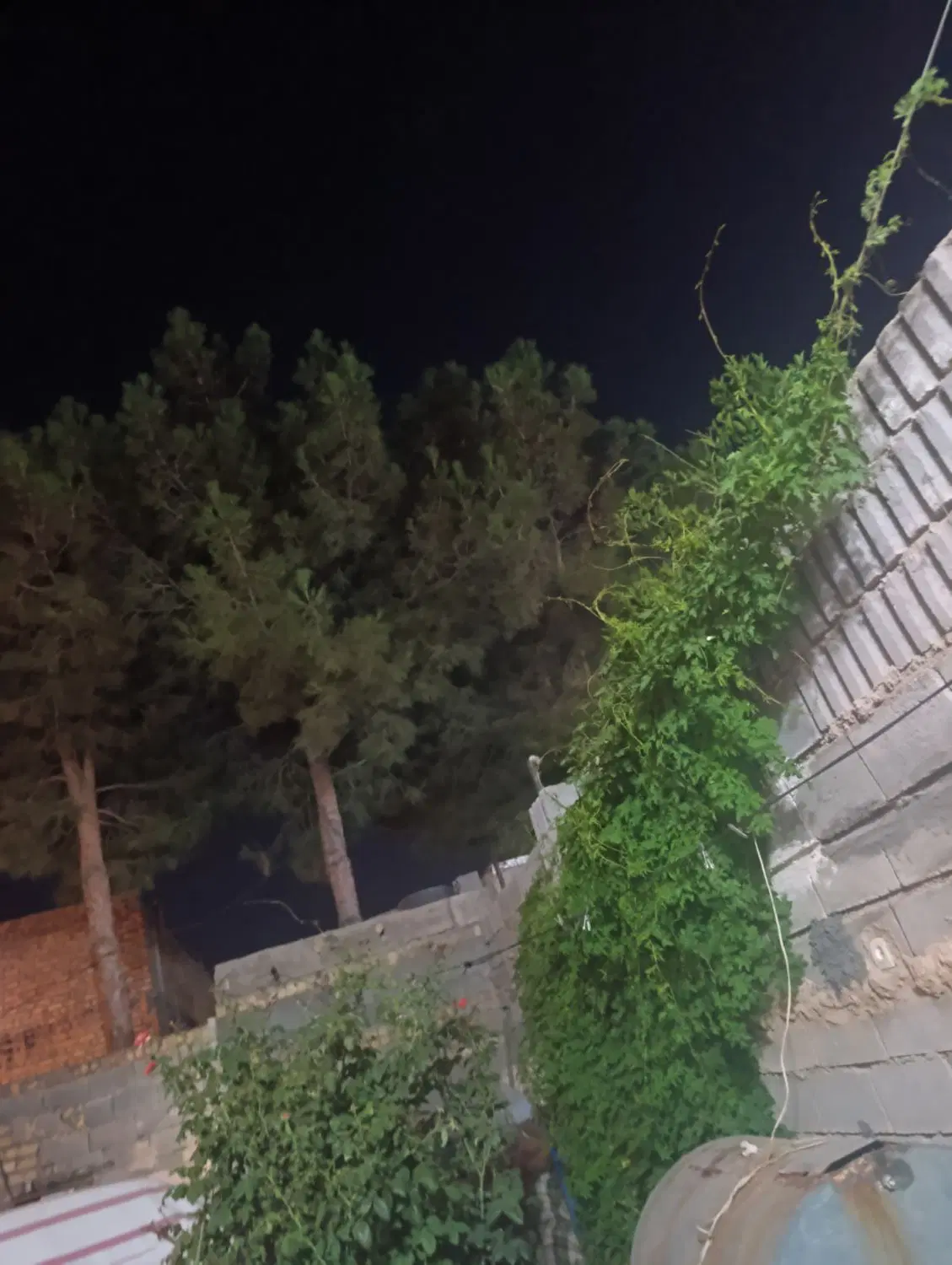 سلام دورد منزل ویلایی شیخ علی چوپان