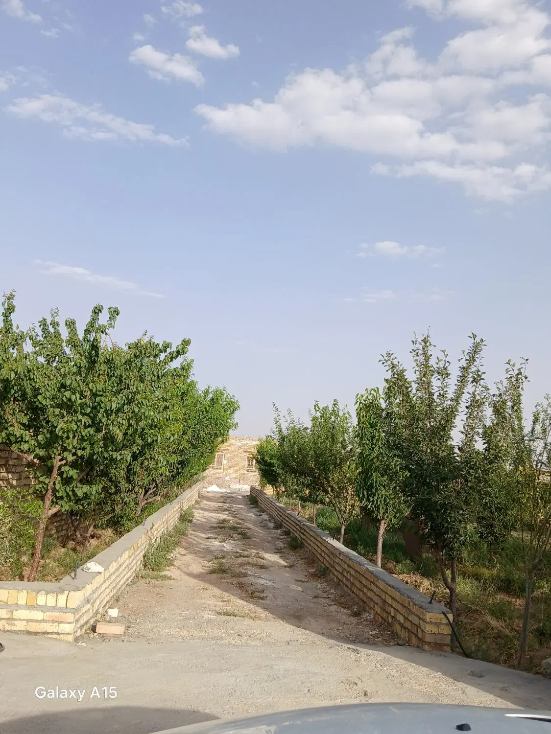 باغ گاوخانه موتوراب عسگری