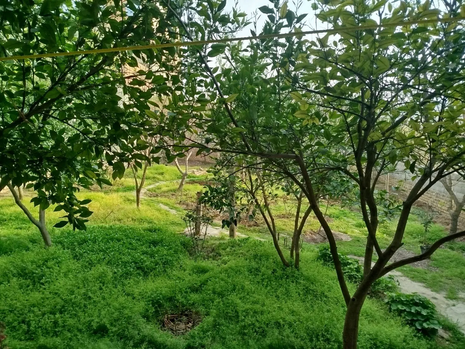 خونه باغ مینودشت