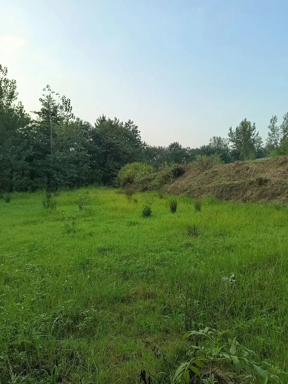 زمین فروشی