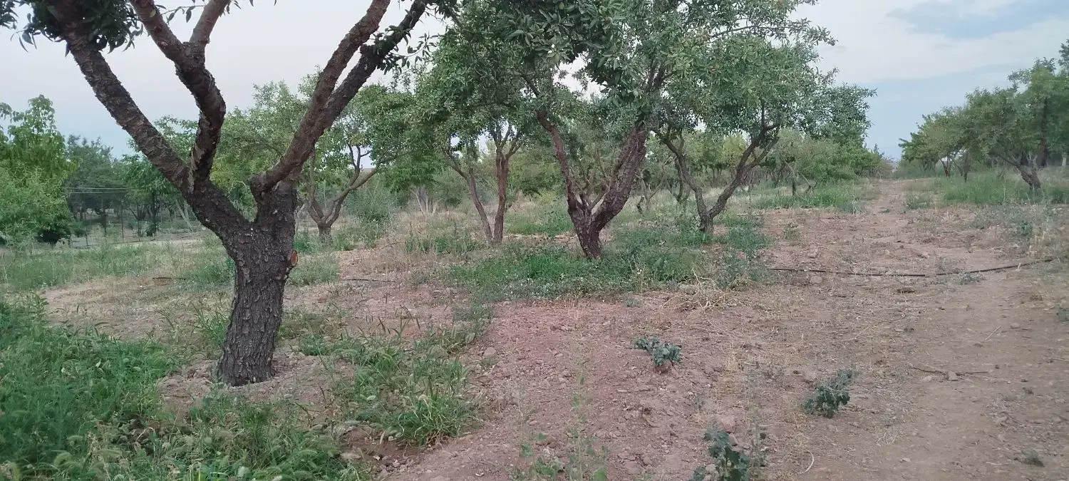 فروش زمین ۴۵۰۰ متری روستایی شوراب پل زمانخان