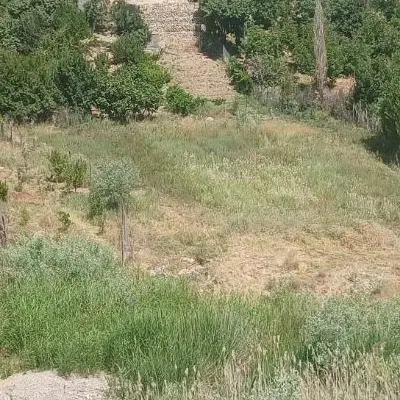 زمین کشاورزی ،سد ایلام