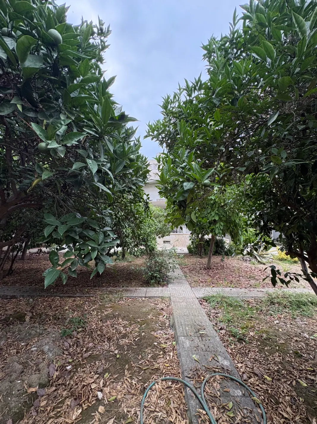 زمین ۴۵۰ متری محبوبی