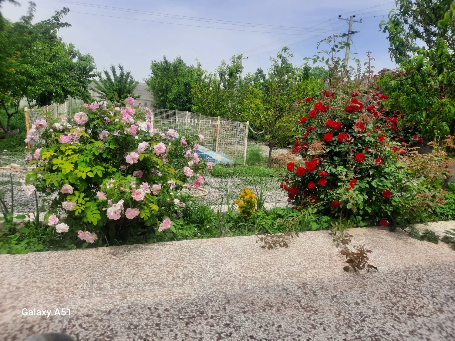 باغ ویلایی