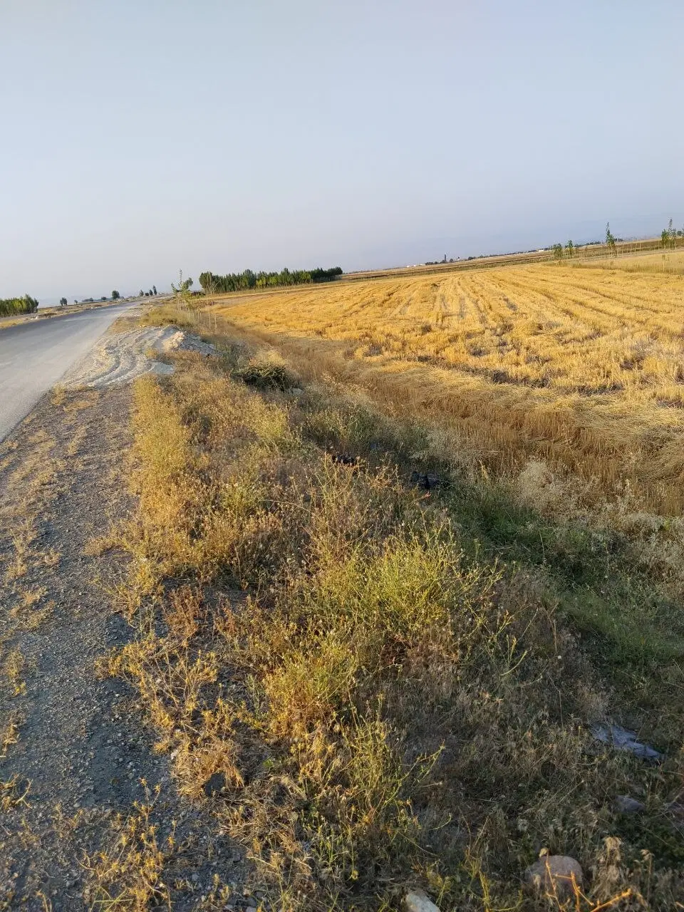 زمین برای باغ و..بر کمربندی جدید(۳کیلومتری شهر)