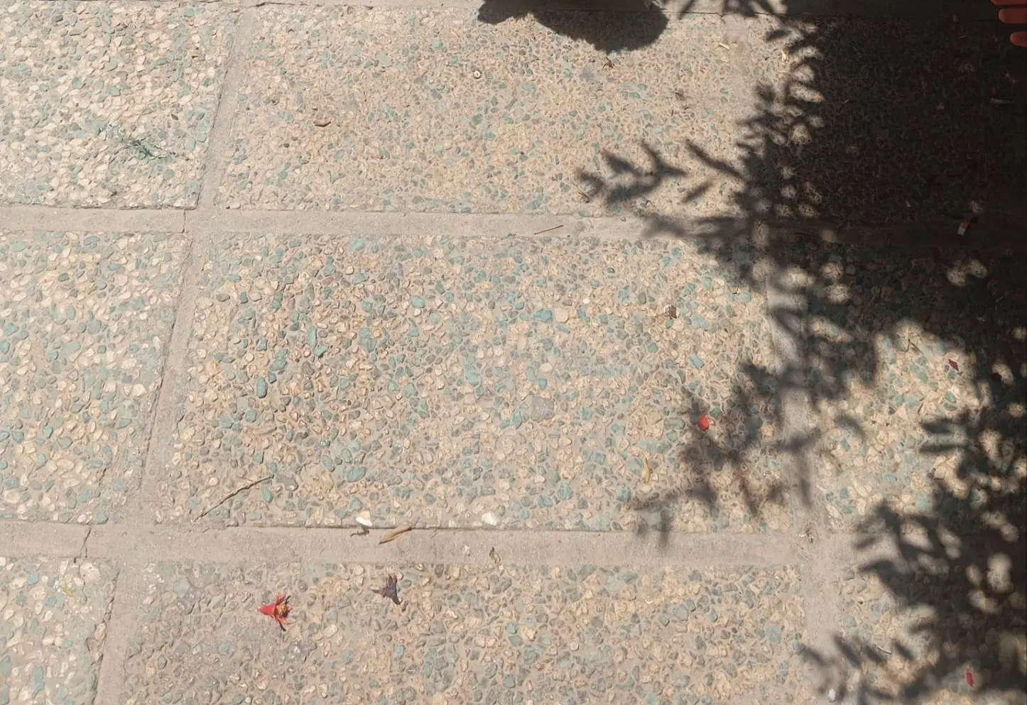 زمین فروشی پیربخش زاهدان