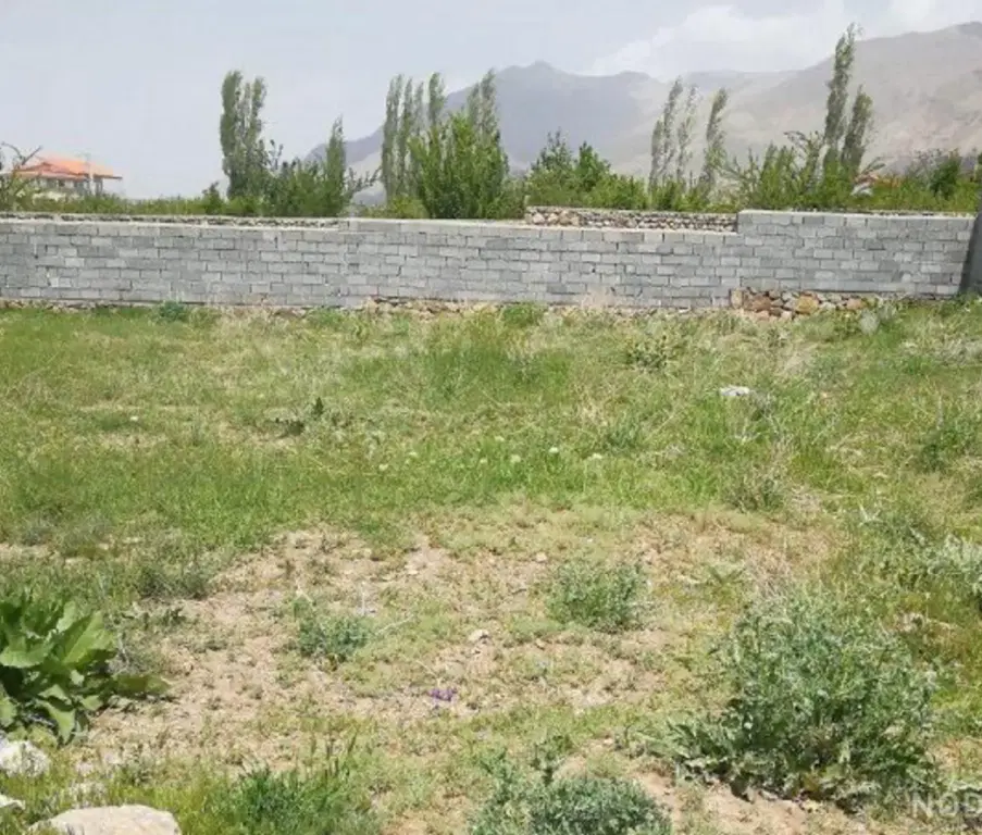 زمین