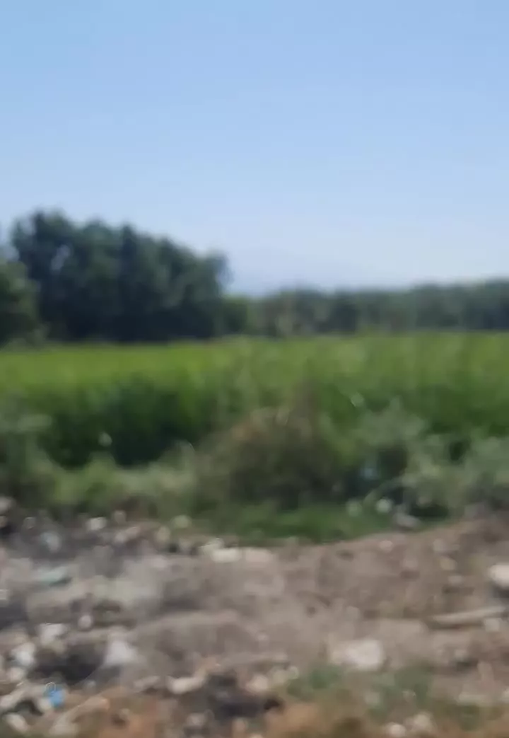 ۸ هزار متر زمین بر جاده اصلی یساقی