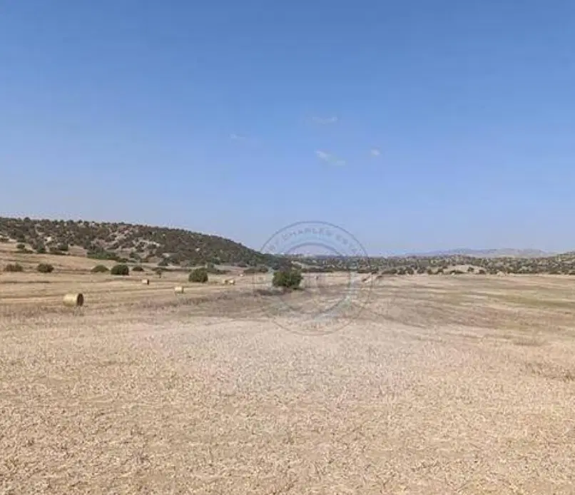 فروش زمین