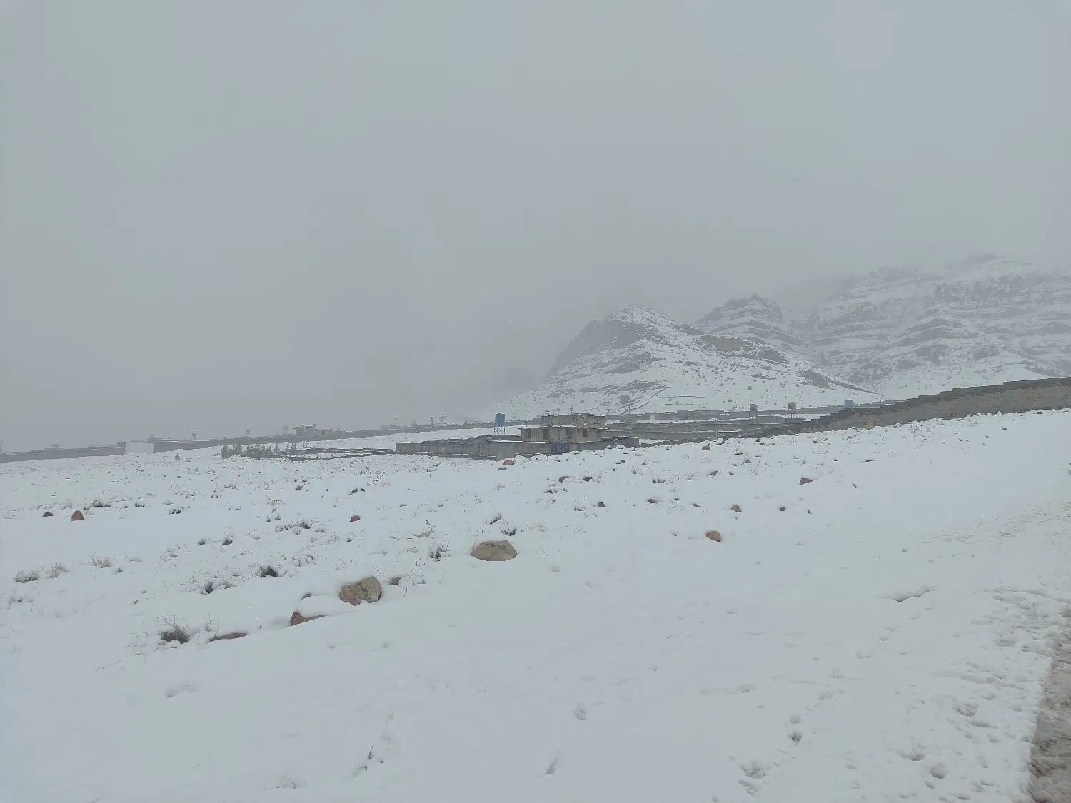 فروش باغ ۲۵۰۰ چهل چشمه دوکوهک