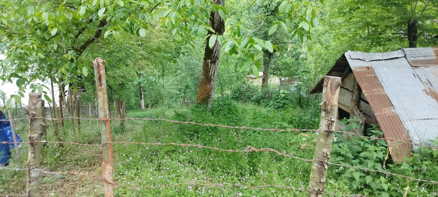 زمین کوهستانی در رضوانشهر سیابیل