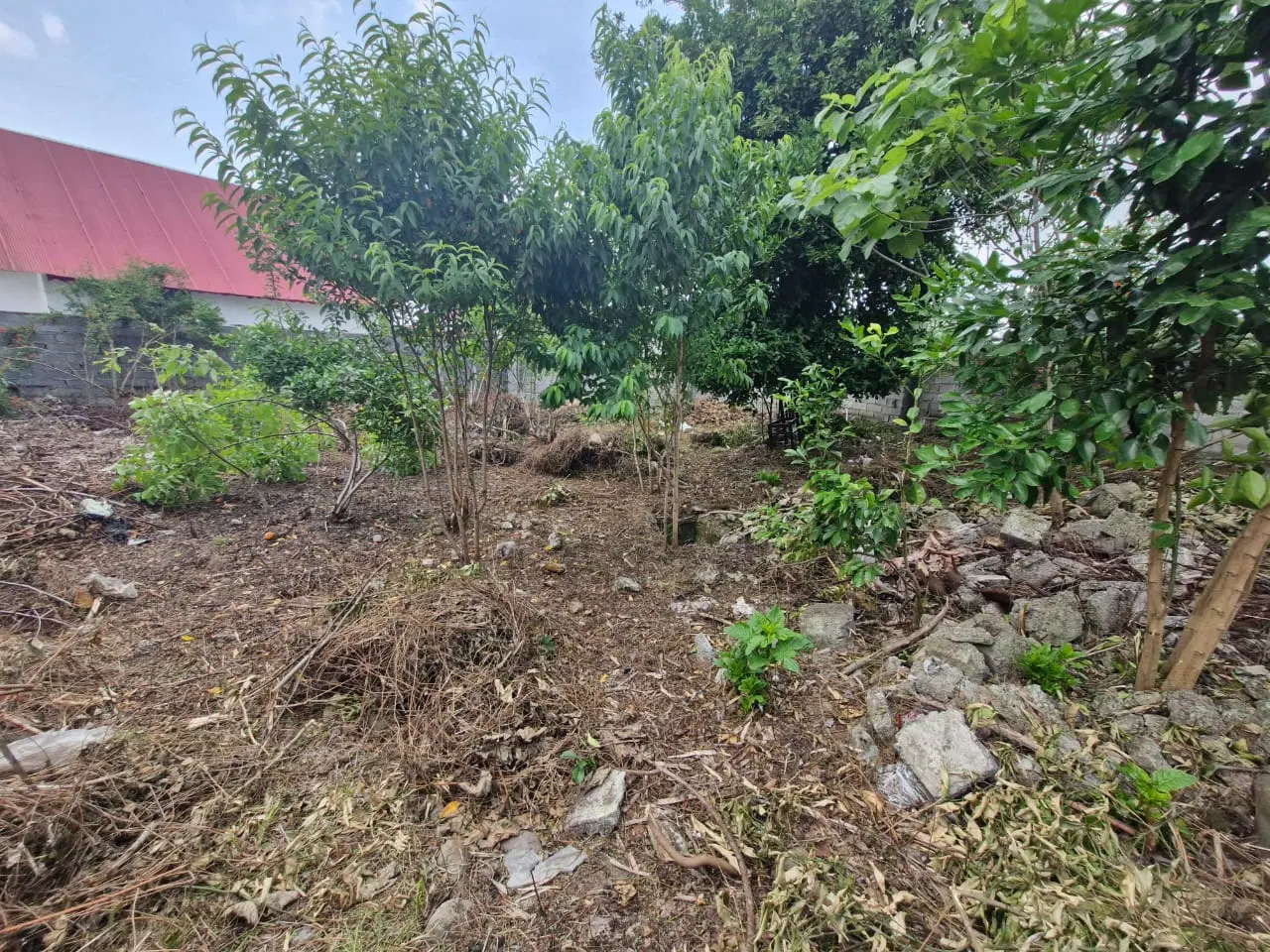 باغی مسکونی  کوهبنه