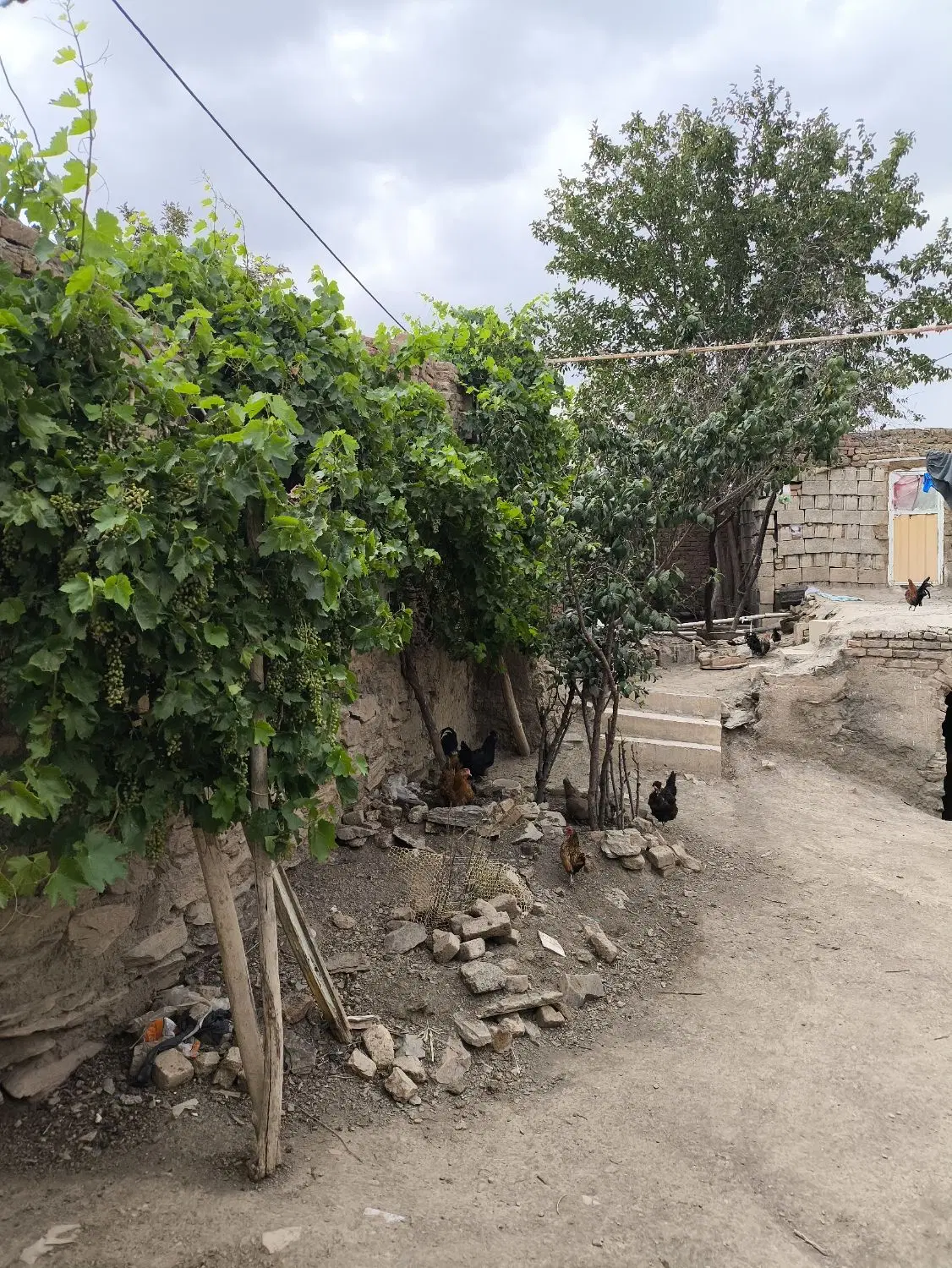 منزل ویلایی سنتی