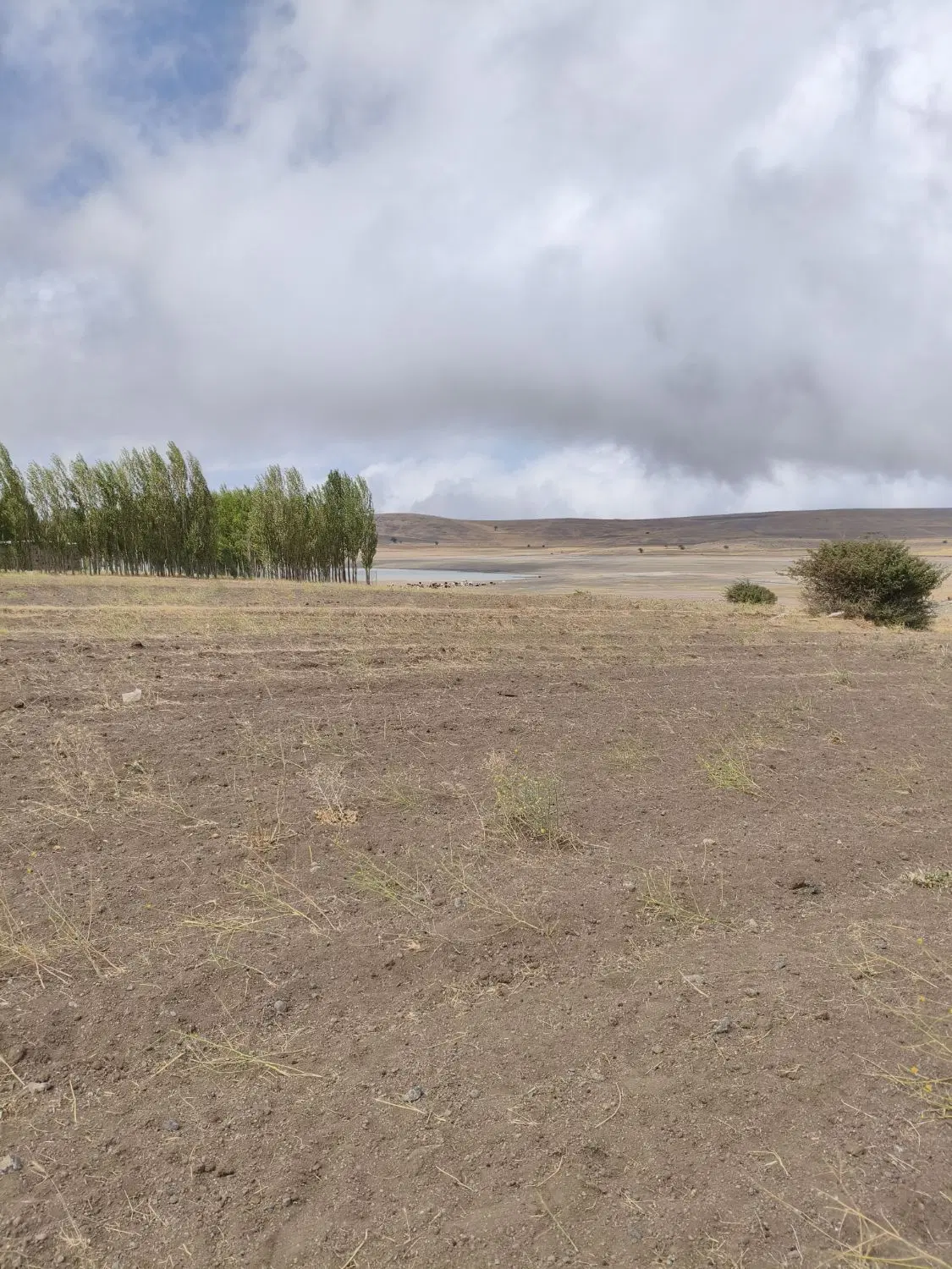 زمین زراعی مناسب برای ایجاد باغ