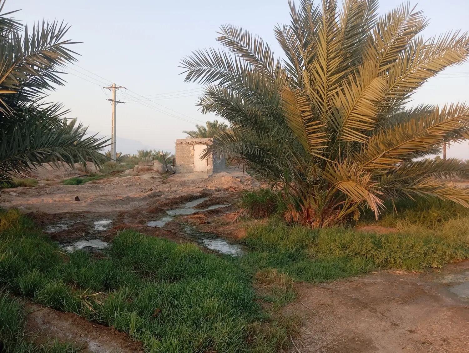 زمین مخصوص باغ ویلا ۵۰۰متر شهر قلعه فاضی