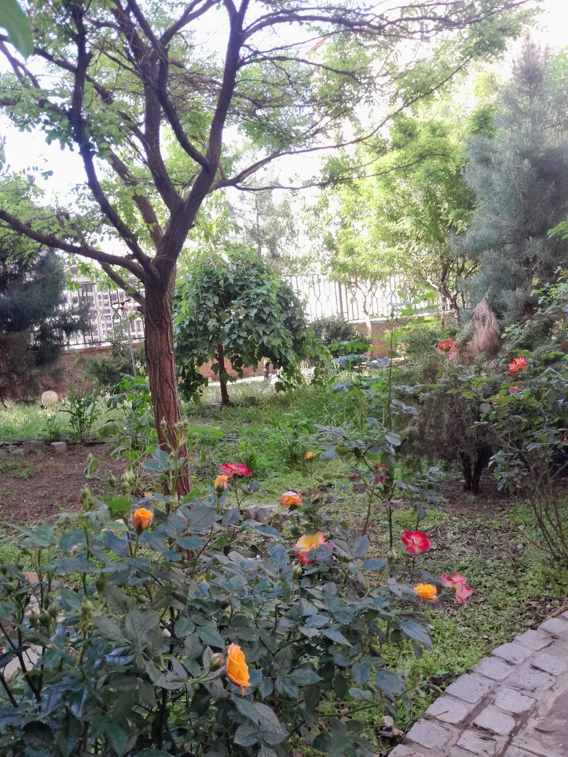 برج سند دار بلوار نماز