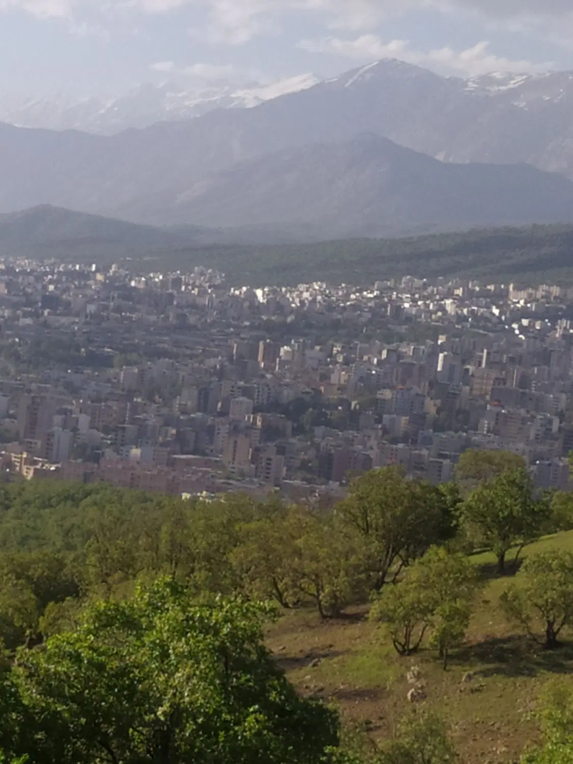 متقاضی زمین