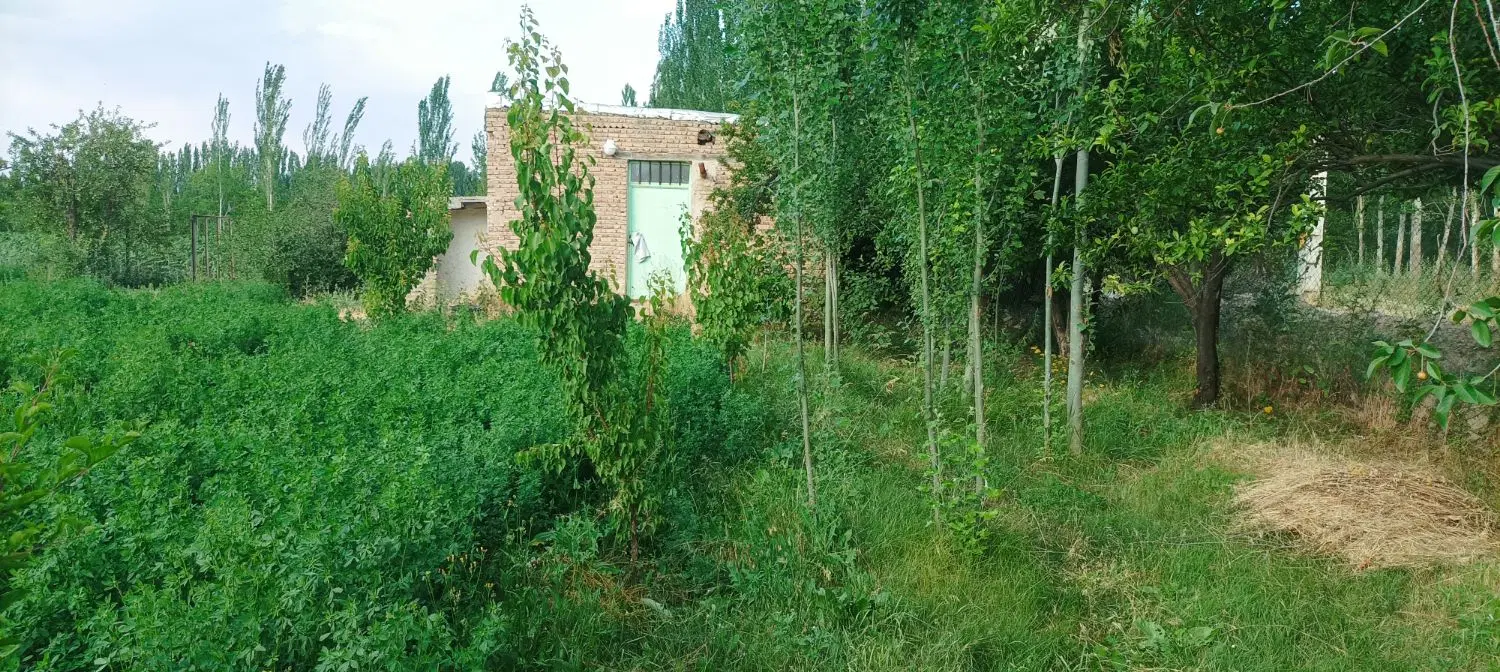 فروش باغ برای تفریح، سرمایه‌گذاری و...