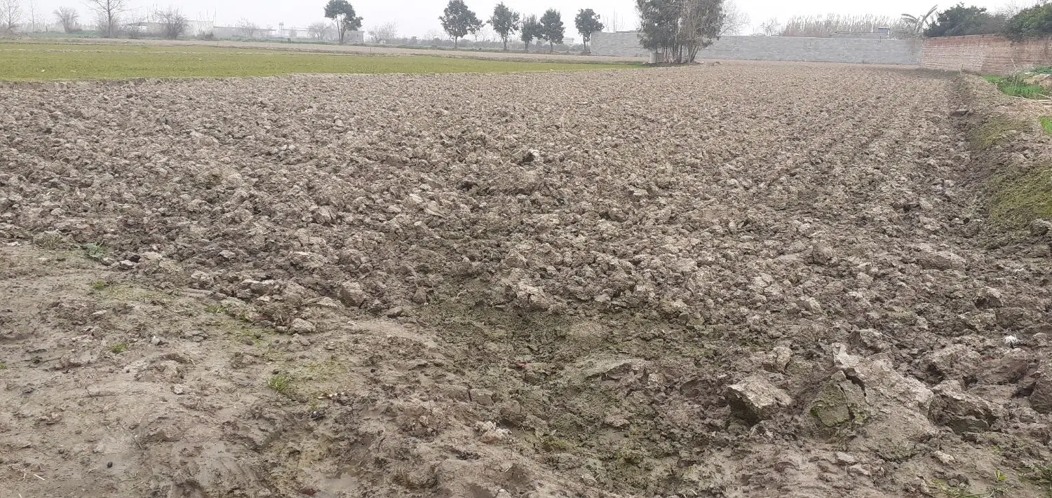 زمین مناسب باغ ویلا در ولیک آباد