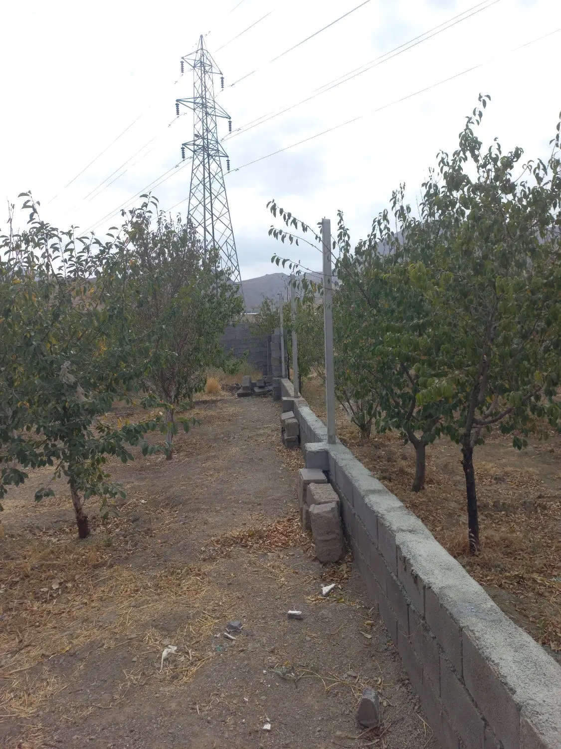 باغ حیدرهد