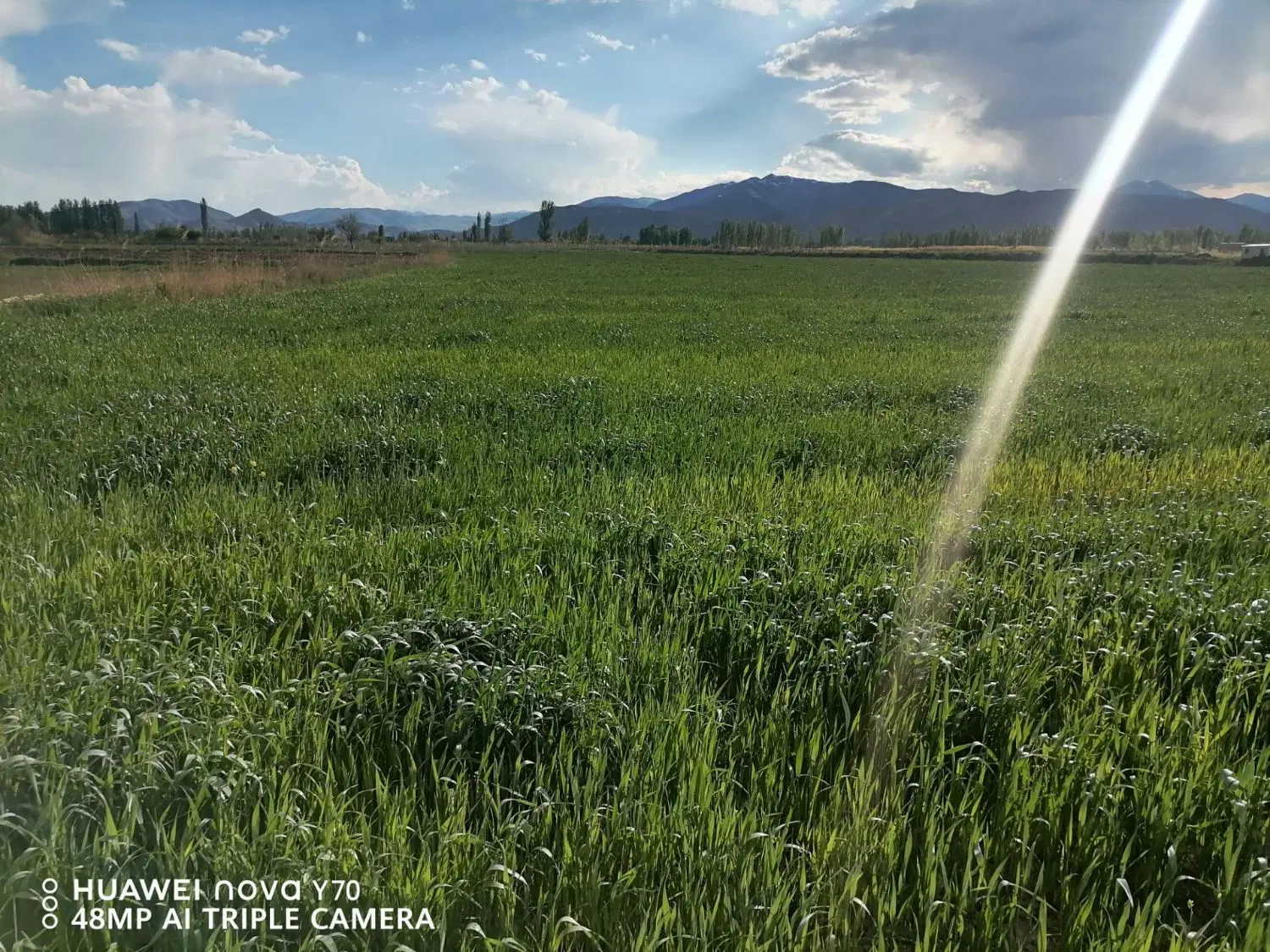 زمین زراعی به متراژ ۱۵،۰۰۰ متر