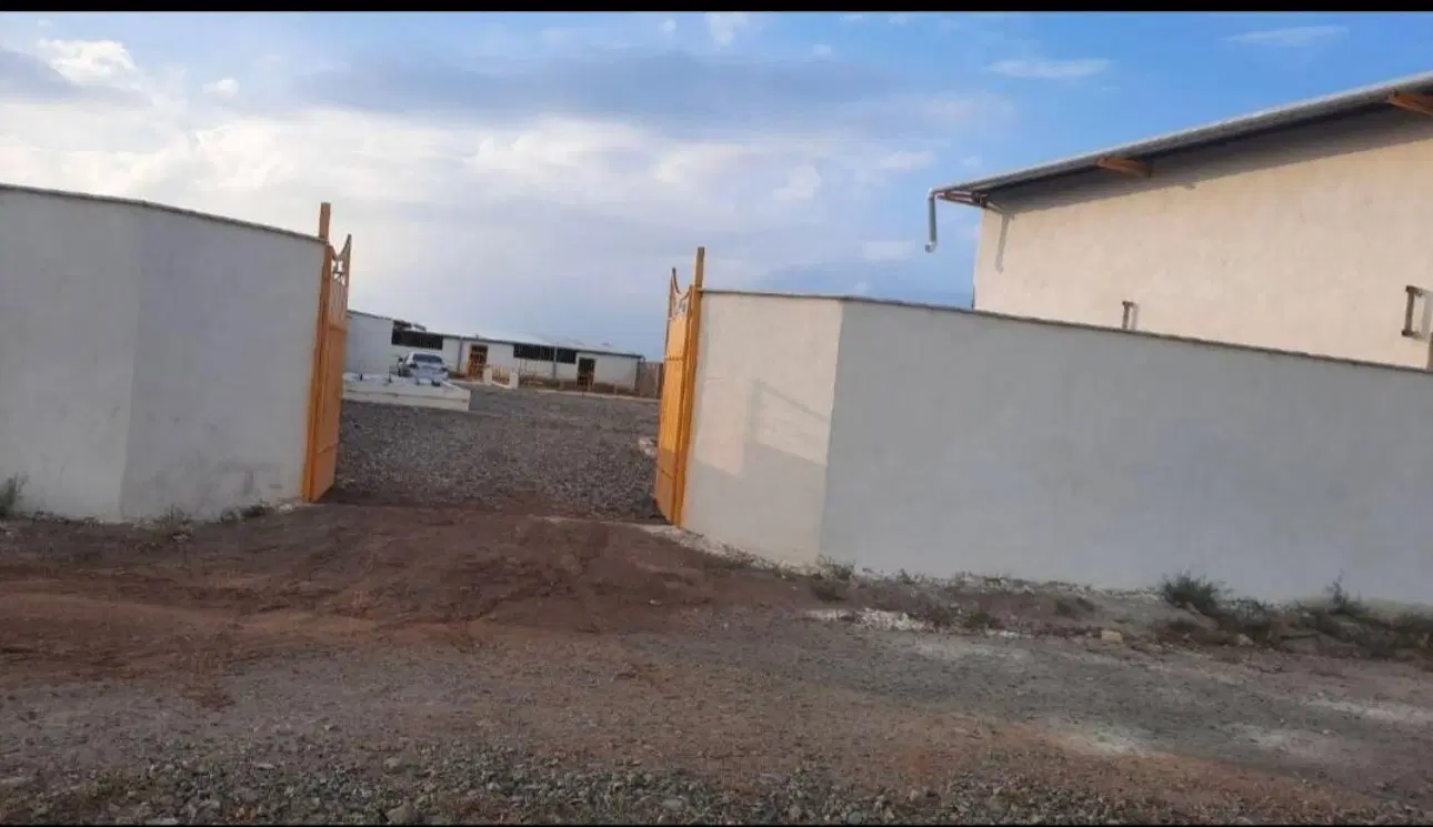 اجاره دامپروری ۲۵۰ راسی با مجوز