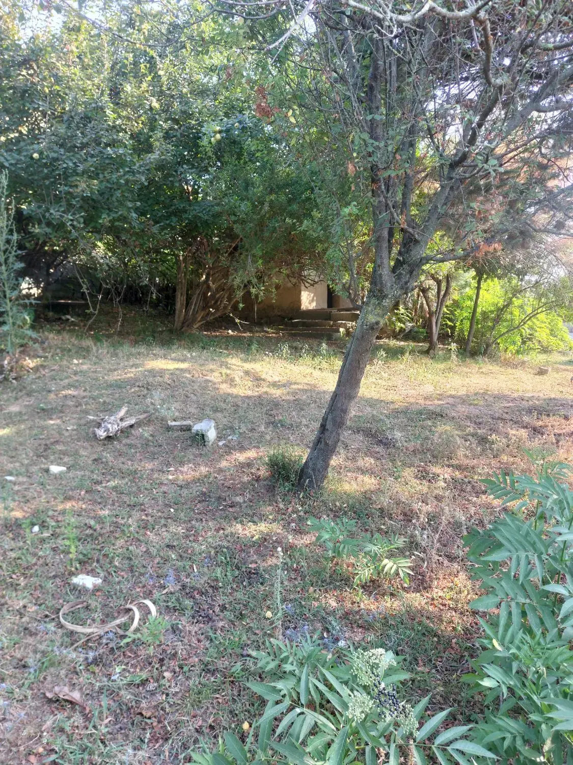 فروش ملک و زمین روستایی