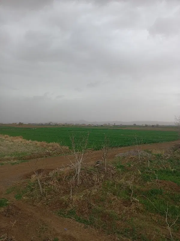 زمین فروشی فوری درجغتای