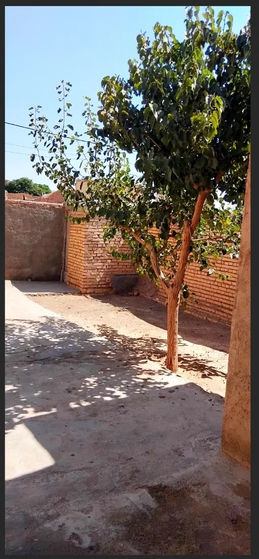 خانه فروشی جنگاه