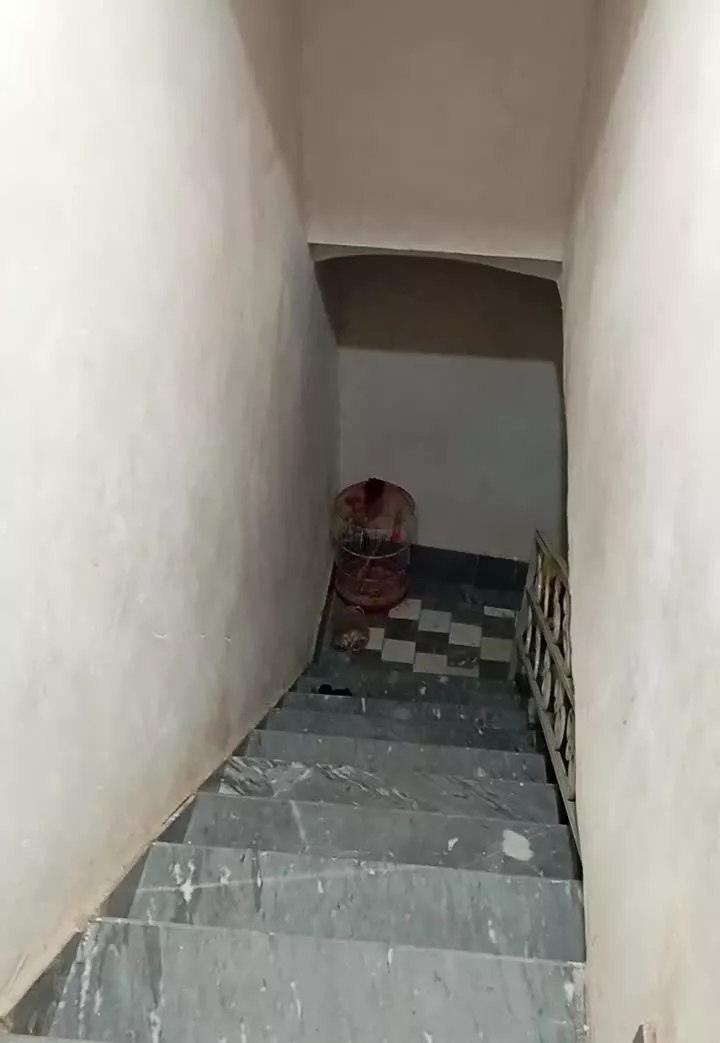 خانه اجاره ای دربست درخان ببین