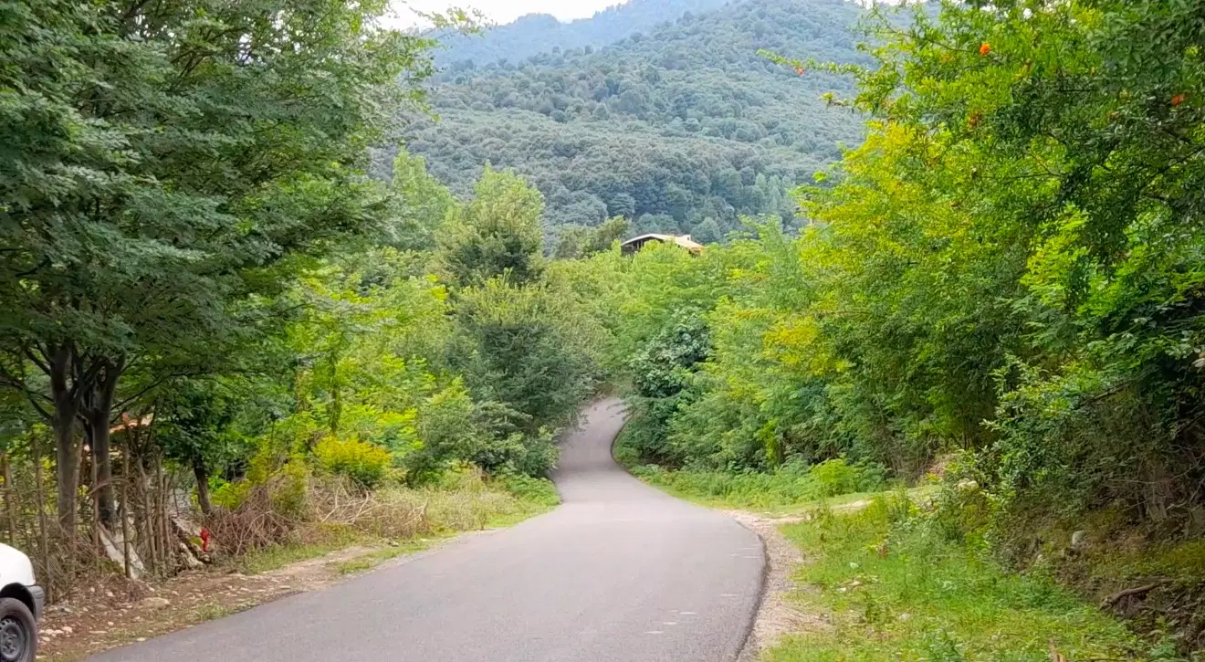 فروش زمین در ماسال