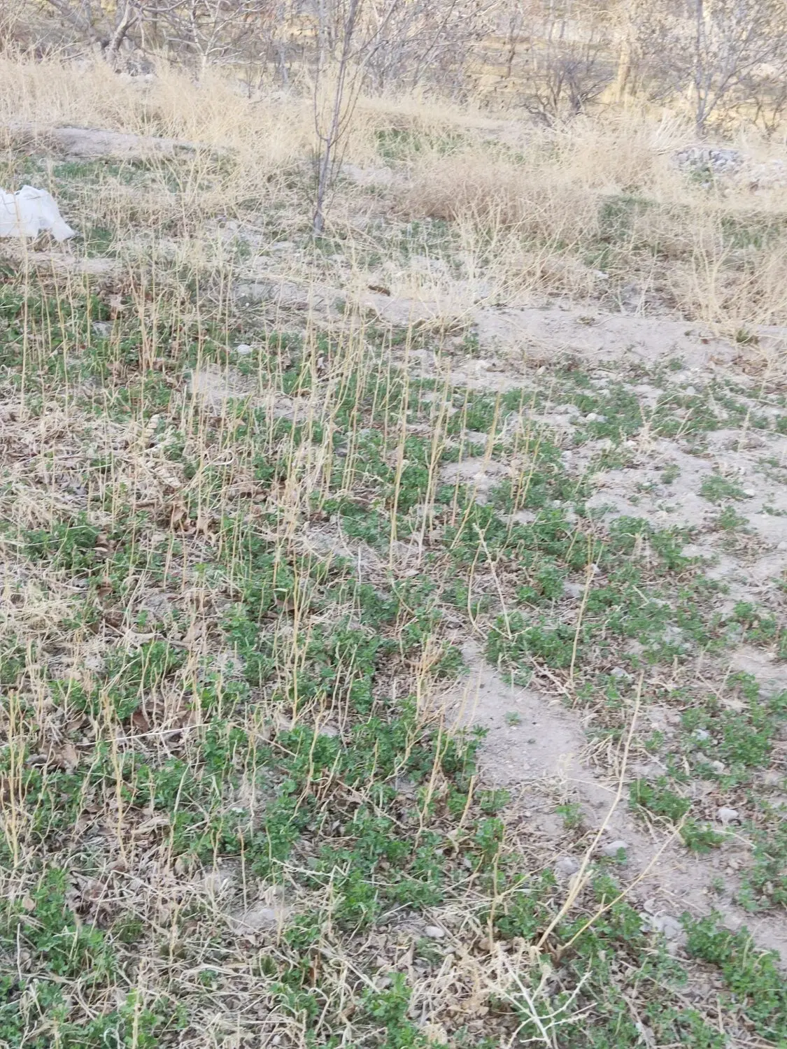 فروش قطعه