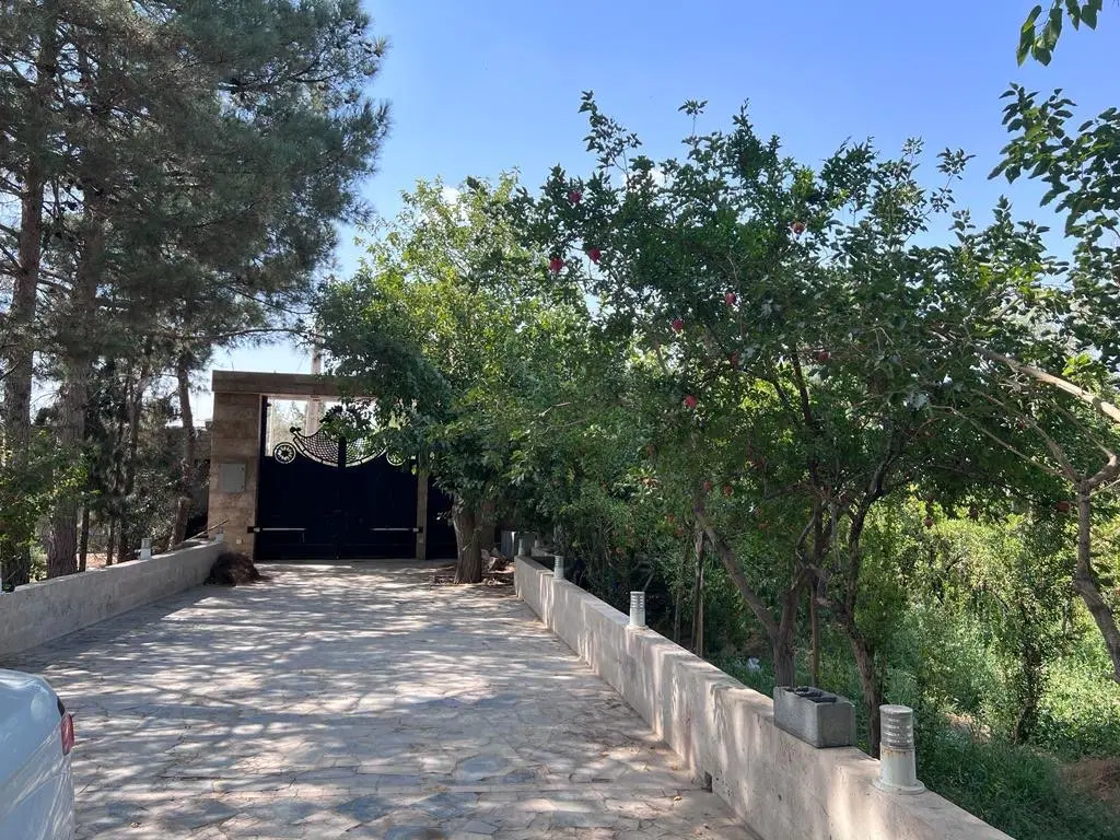 مشارواملاک مرق