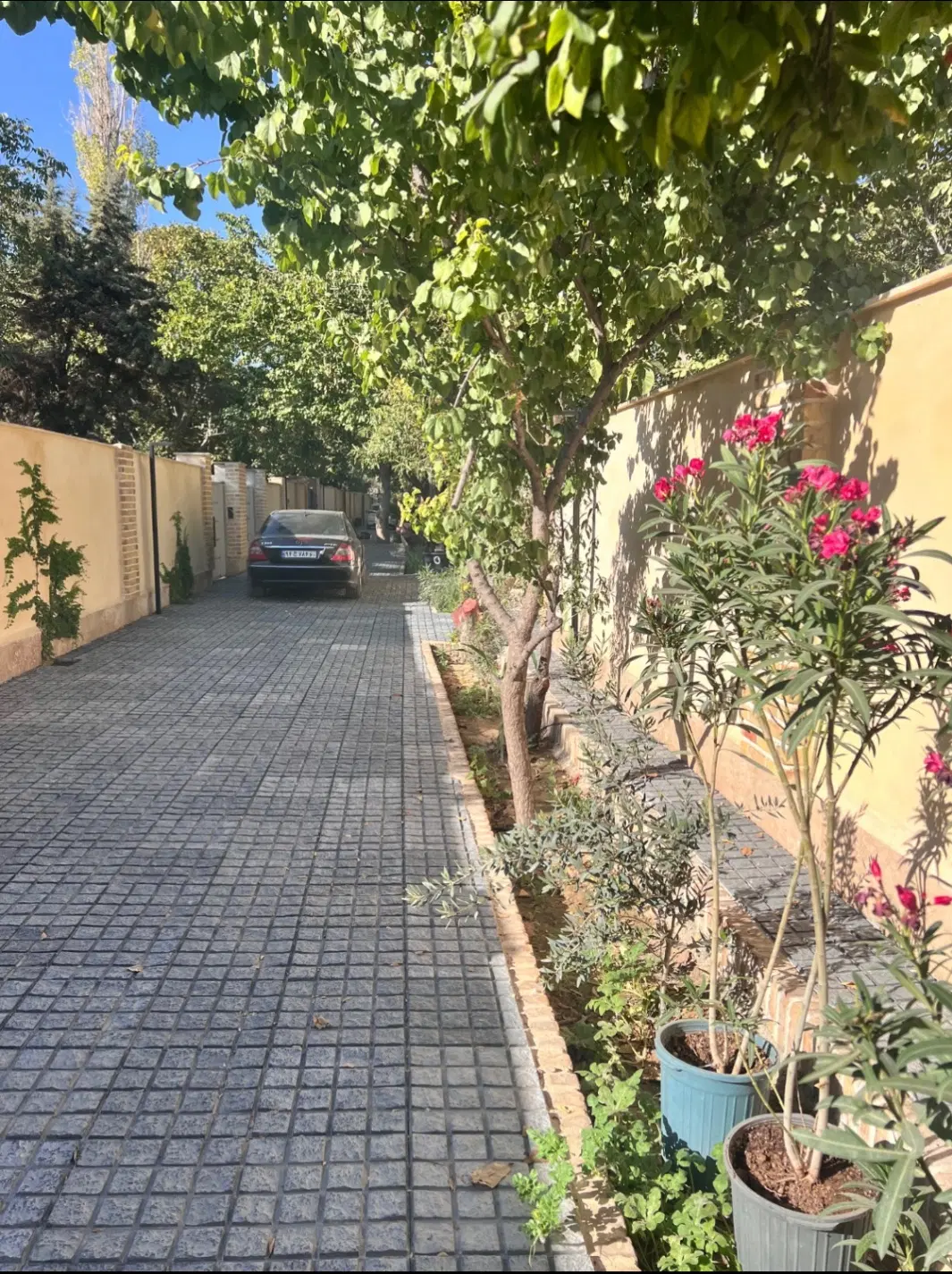 270 متر باغ شهرکی لوکس