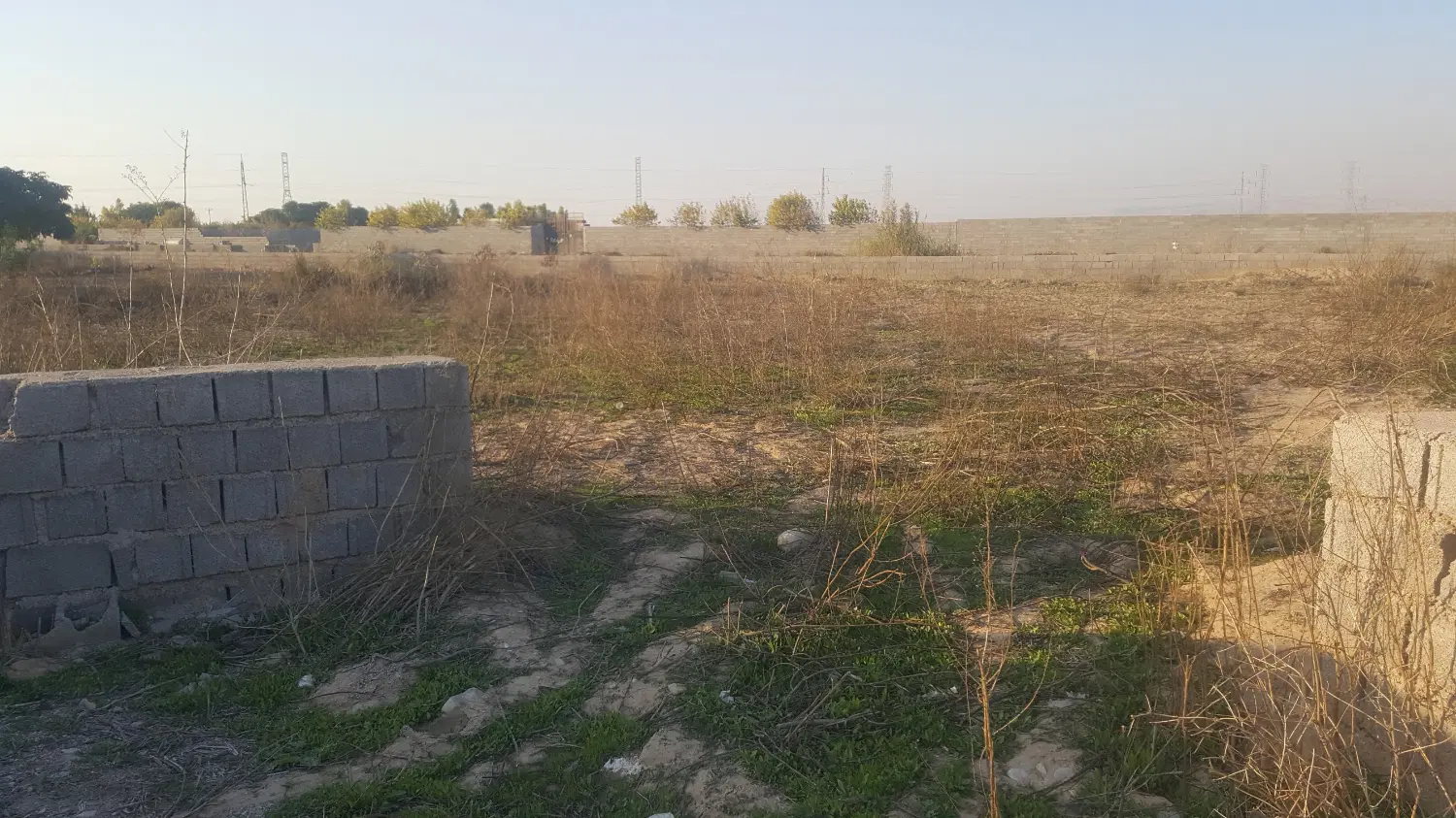 زمین باغچه