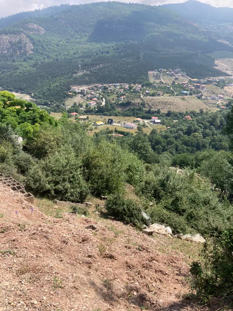زمین مسکونی ۴۸۸ متر در رویان بالاتر از آب پری