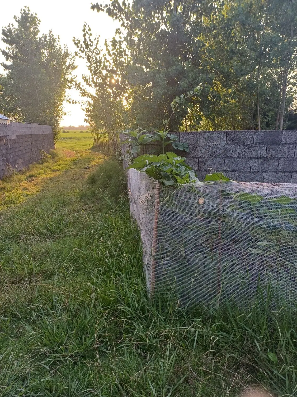 ۱۵۰ متر مسکونی ،خمام