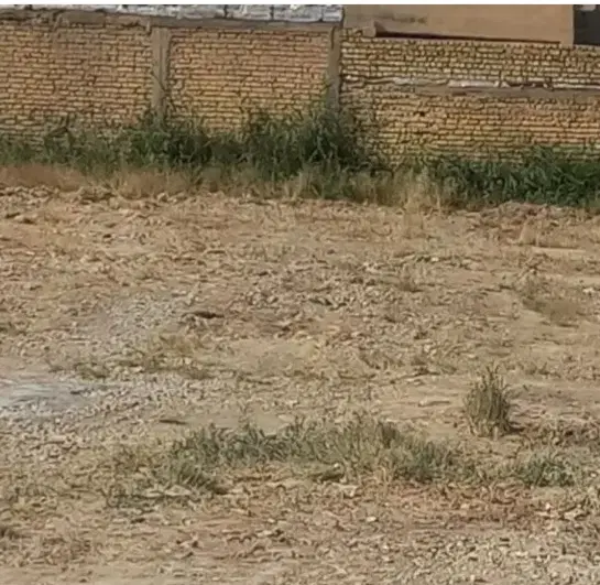 زمین سند دار