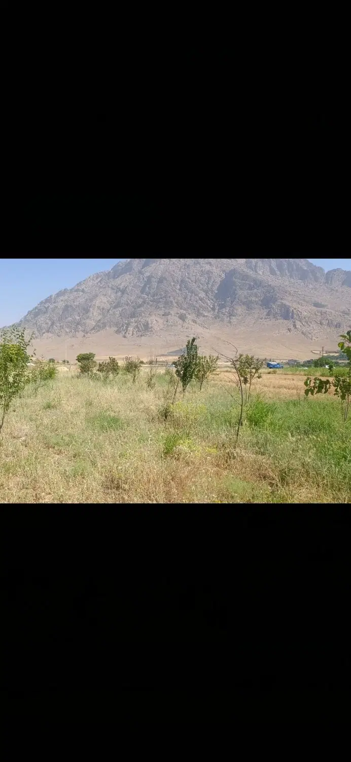 فروش یک قطعه زمین وباغ