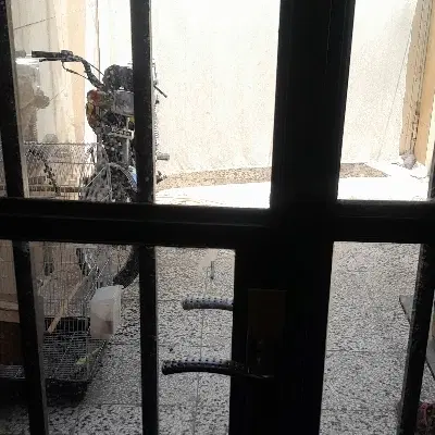 مغازه