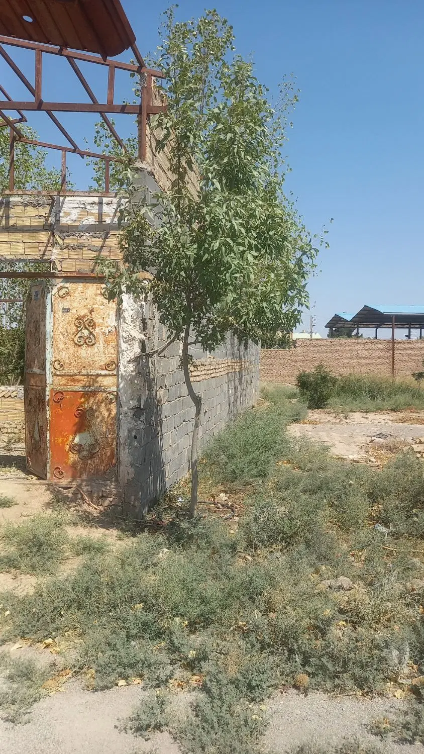 باغچه