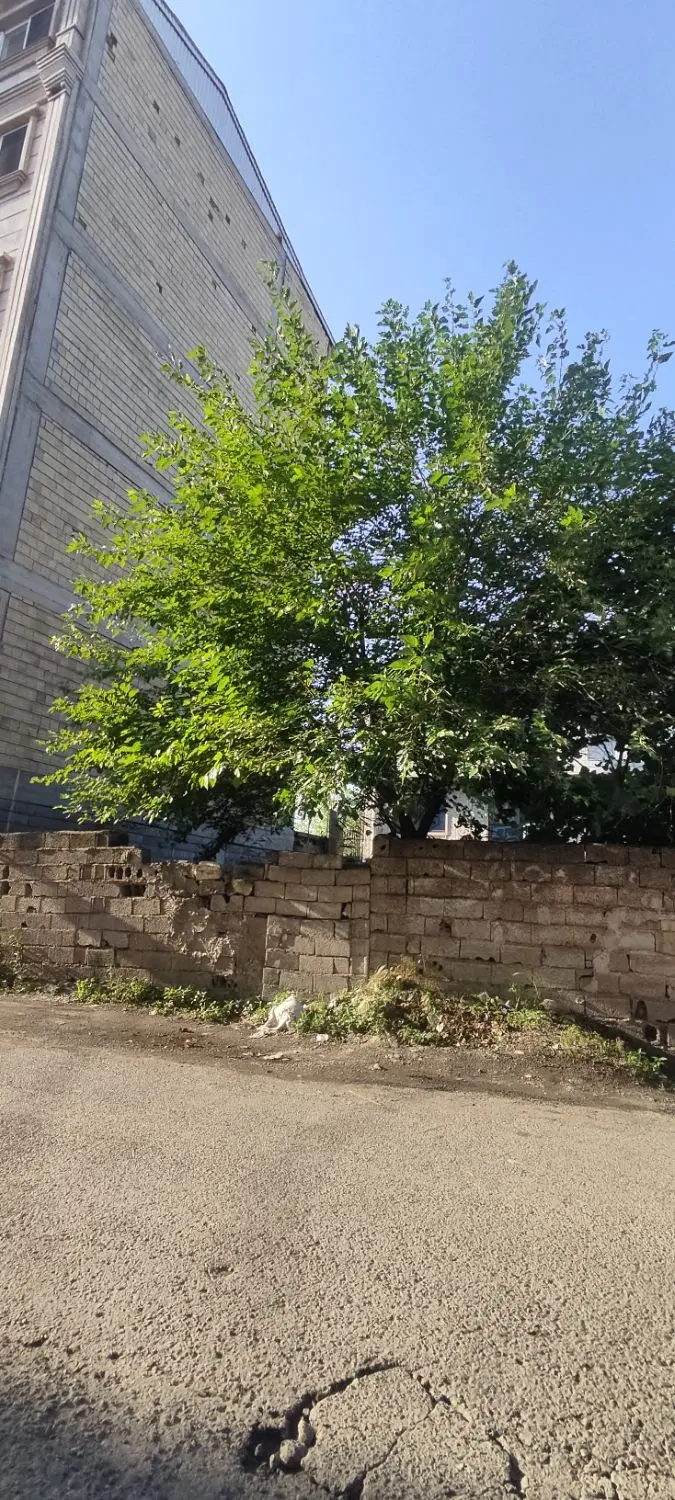 ۲۰۰ متر زمین مسکونی لیلاکوه