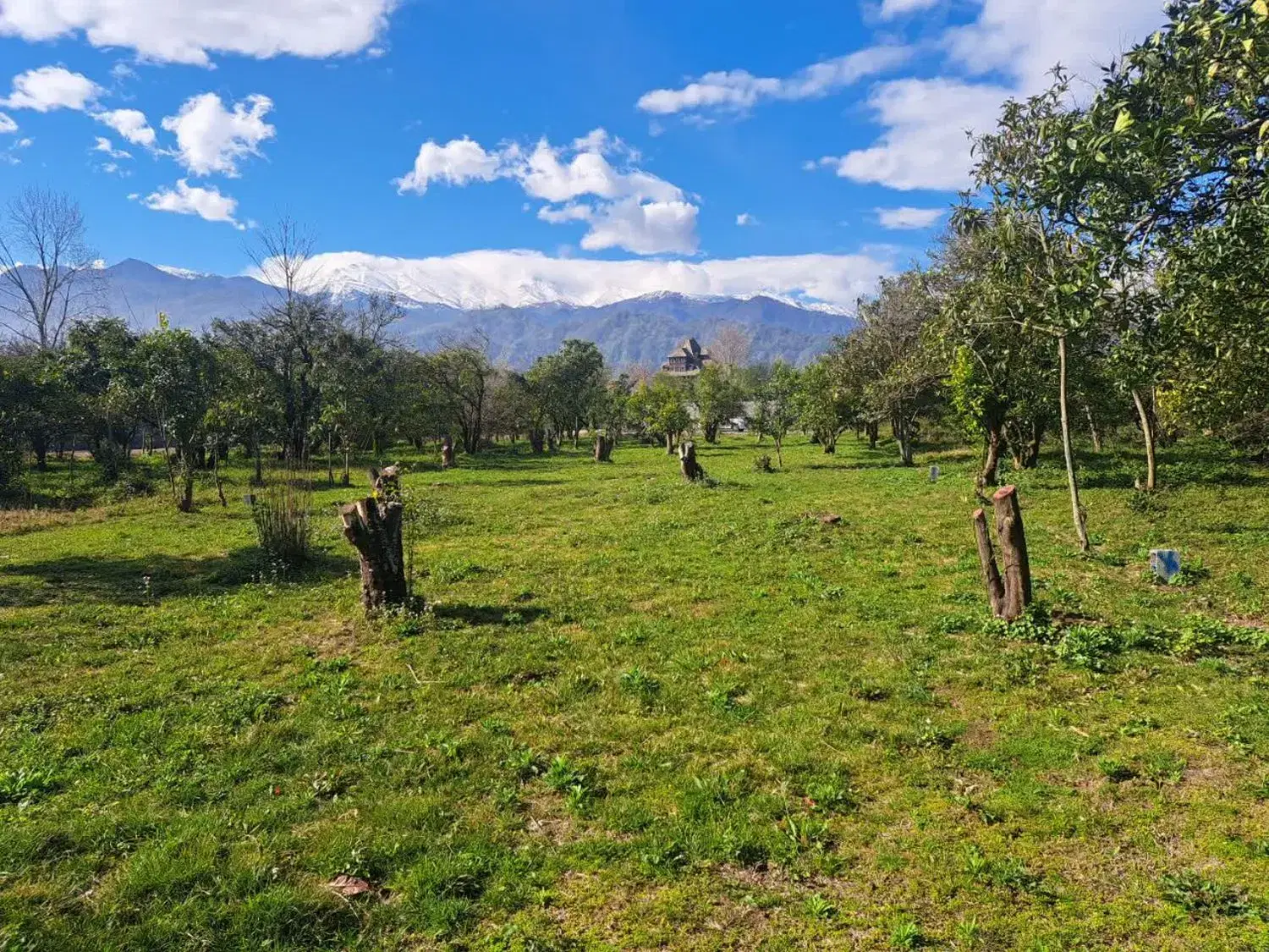 فروش زمین باغی